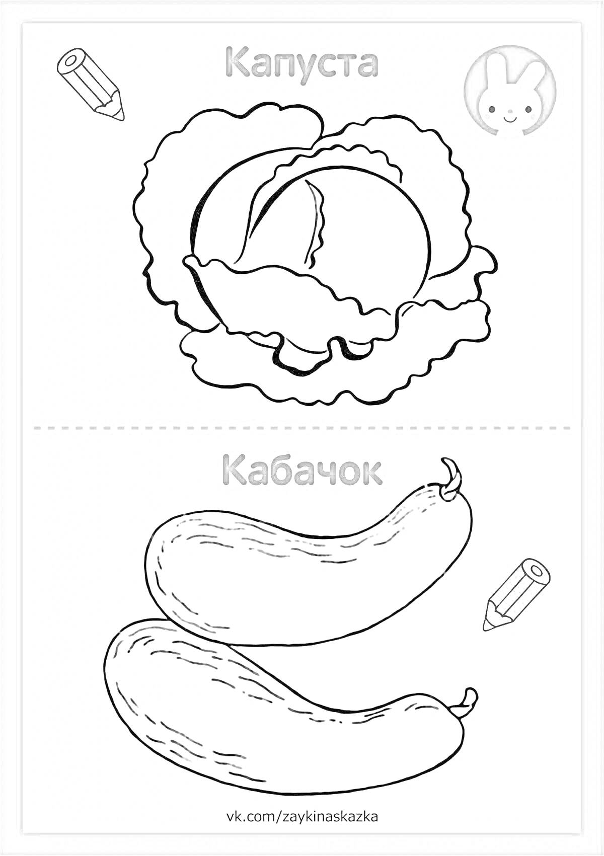 На раскраске изображено: Овощи, Капуста, Кабачок, 2 года, 3 года, Карандаши, Кролик