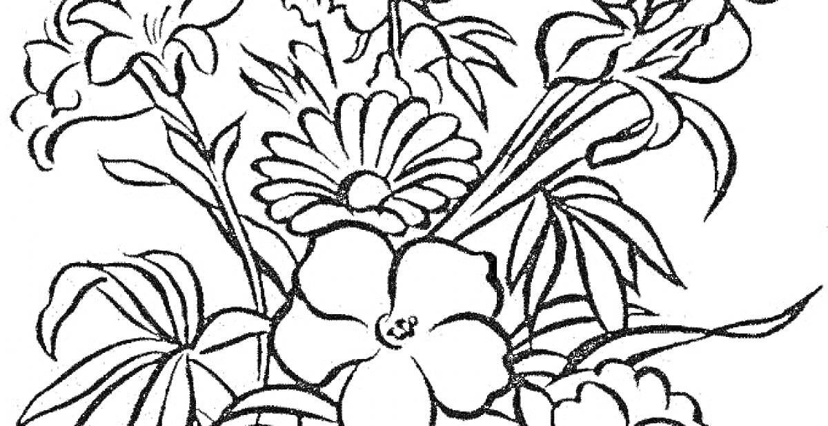 На раскраске изображено: Цветы, Лилии, Листья, Природа, Ботаника, Ромашка