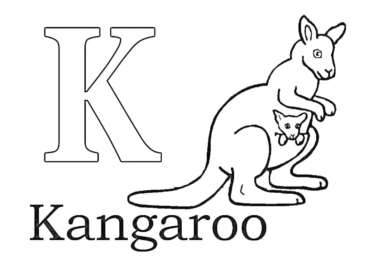 Раскраска Буква K, кенгуру с малышом в сумке, слово 
