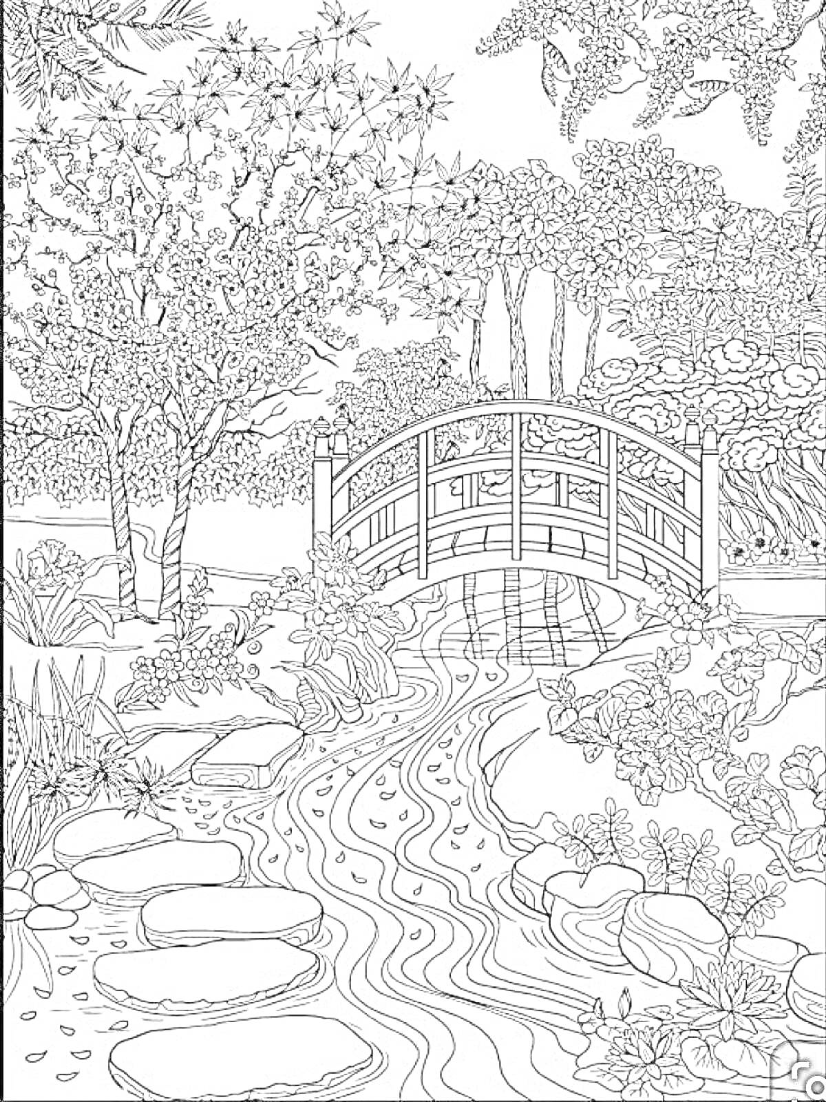 Раскраска Японский сад с мостиком, деревьями и ручьем