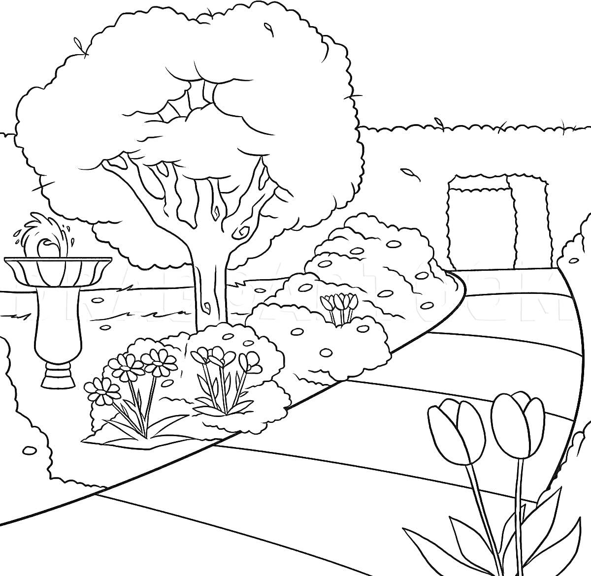 На раскраске изображено: Сад, Фонтан, Цветы, Дорожка, Кусты, Ворота, Тюльпаны, Деревья