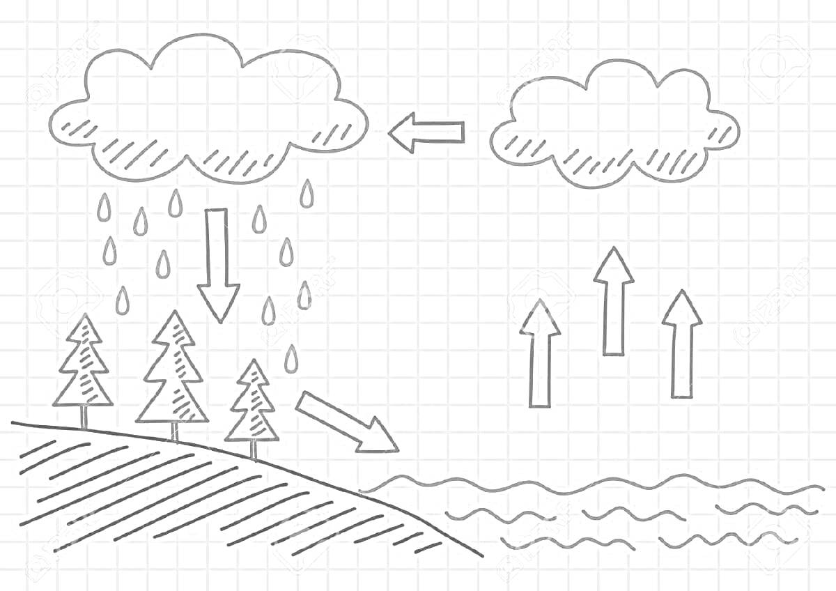Раскраска круговорот воды в природе: облака, дождь, деревья, водоем, стрелки, направляющие потоки воды и пар