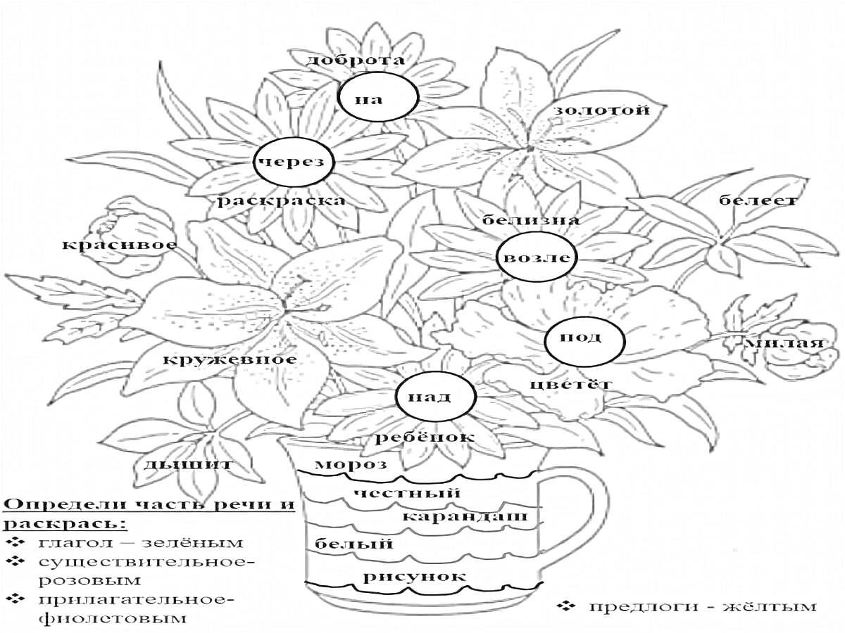 На раскраске изображено: Части речи, Цветы, Предлоги, Прилагательные, Существительные, Пурпурный, Морковь, Белый