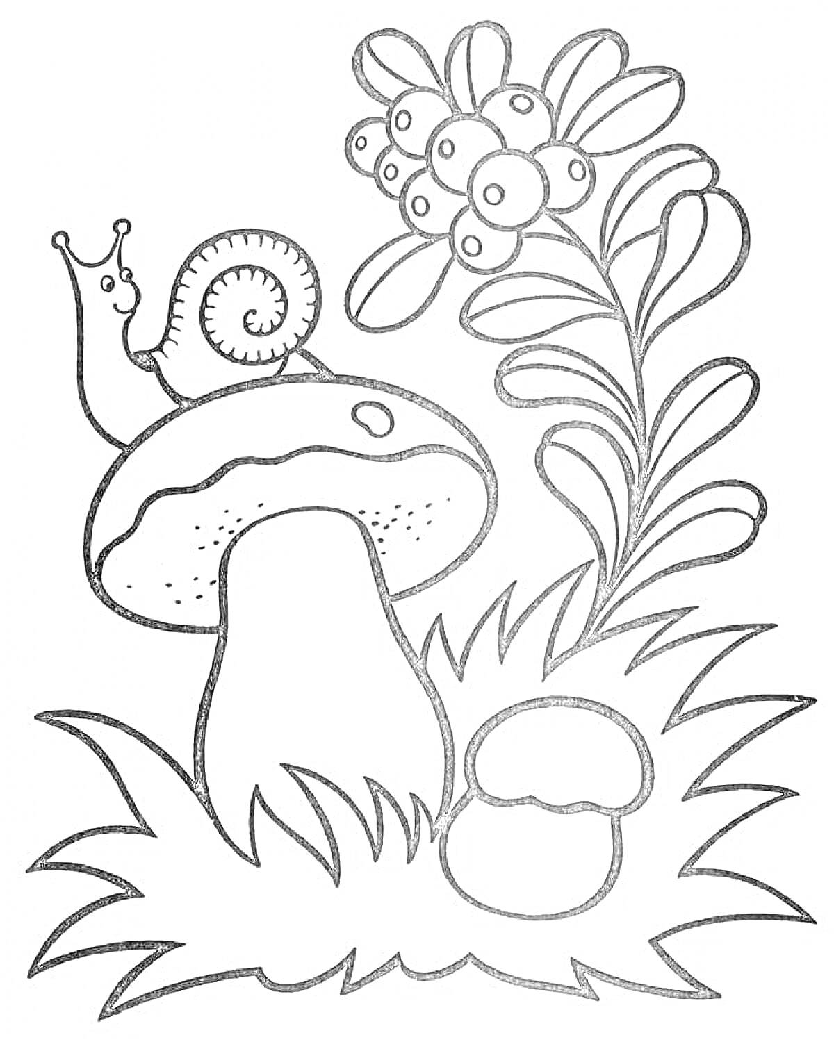 Раскраска Улитка на грибе и ягоды