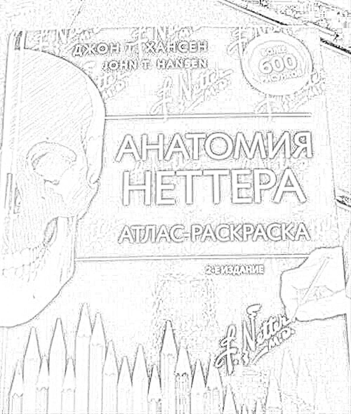 На раскраске изображено: Анатомия, Неттер, Атлас, Череп, Карандаши, Медицинская литература, Учебник