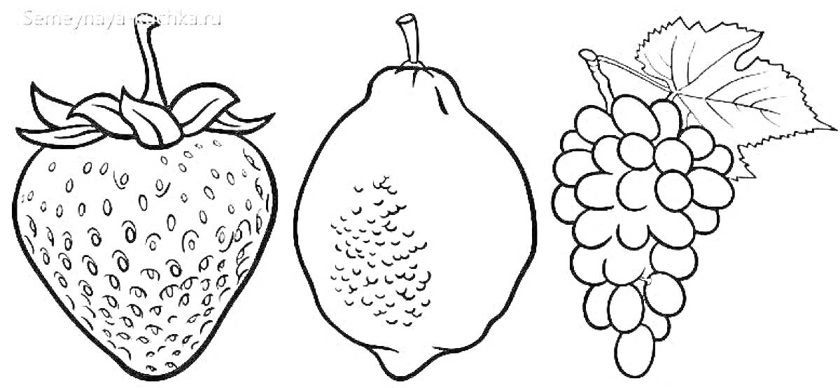 Раскраска Клубника, лимон и виноград