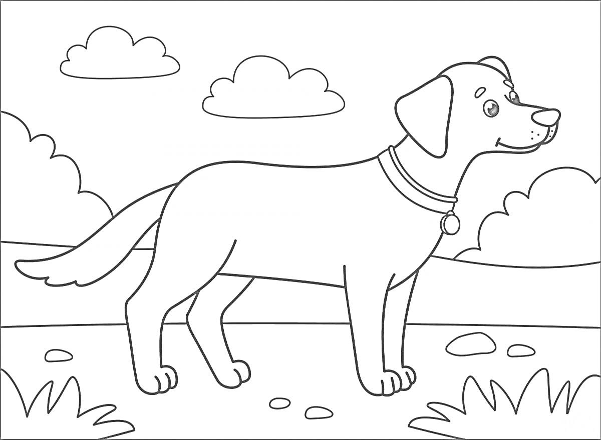 На раскраске изображено: Собака, Природа, Облака, Кусты, Трава, Камни, 3-4 года
