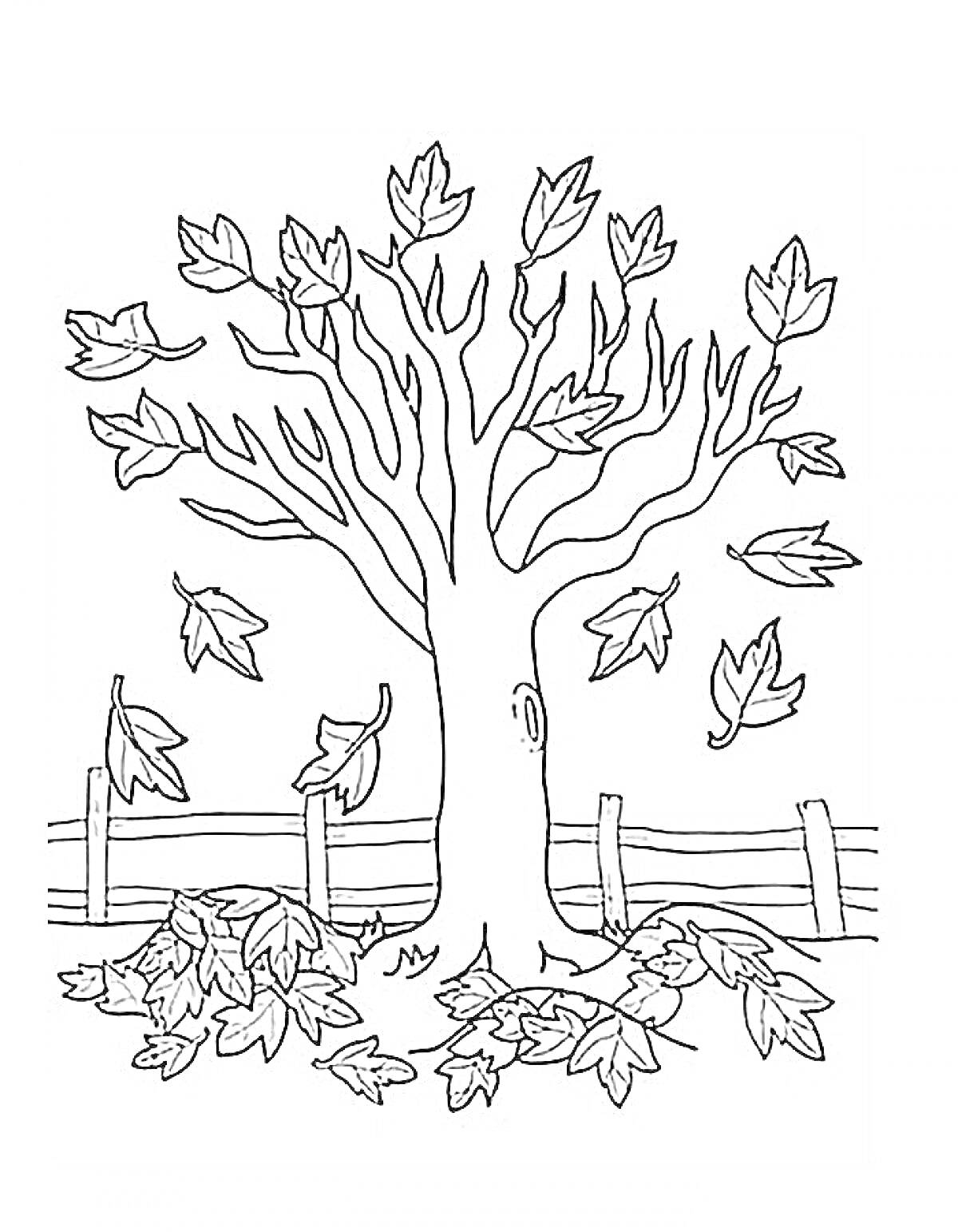 Раскраска Осеннее дерево с падающими и опавшими листьями возле забора