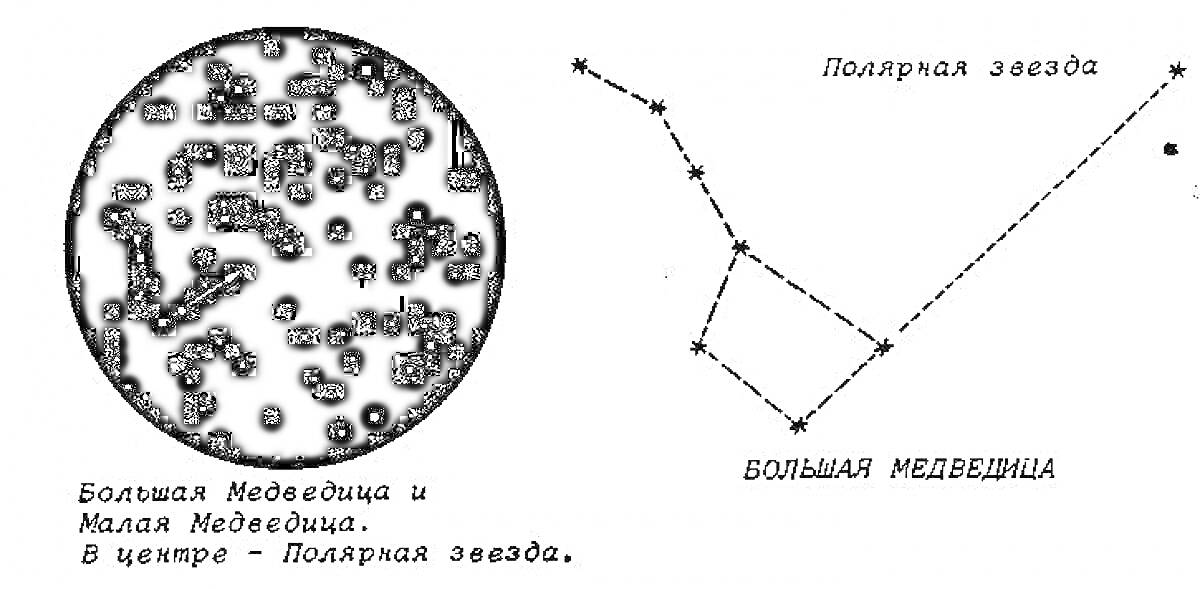 На раскраске изображено: Большая Медведица, Малая Медведица, Полярная звезда, Созвездия, Звезды, Небо, Астрономия