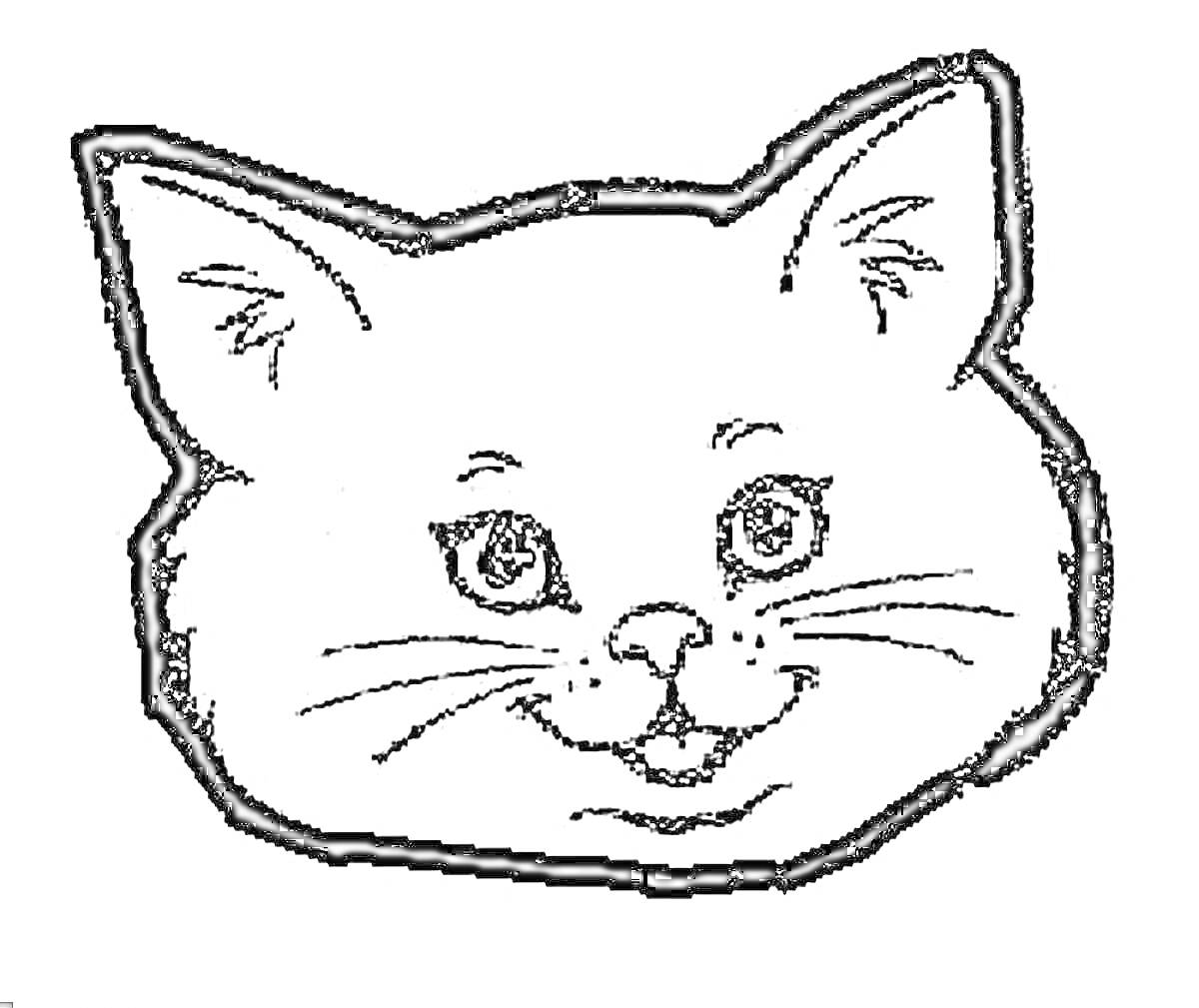 Раскраска мордочка кошки с открытыми глазами и усами