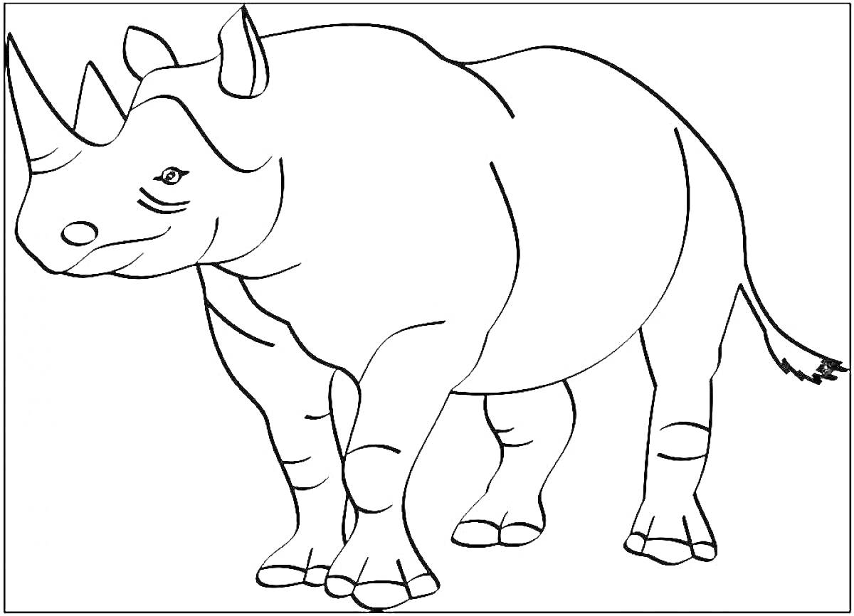 Раскраска Носорог для раскрашивания для детей, изображение носорога с двумя рогами, стоящего на четырех лапах