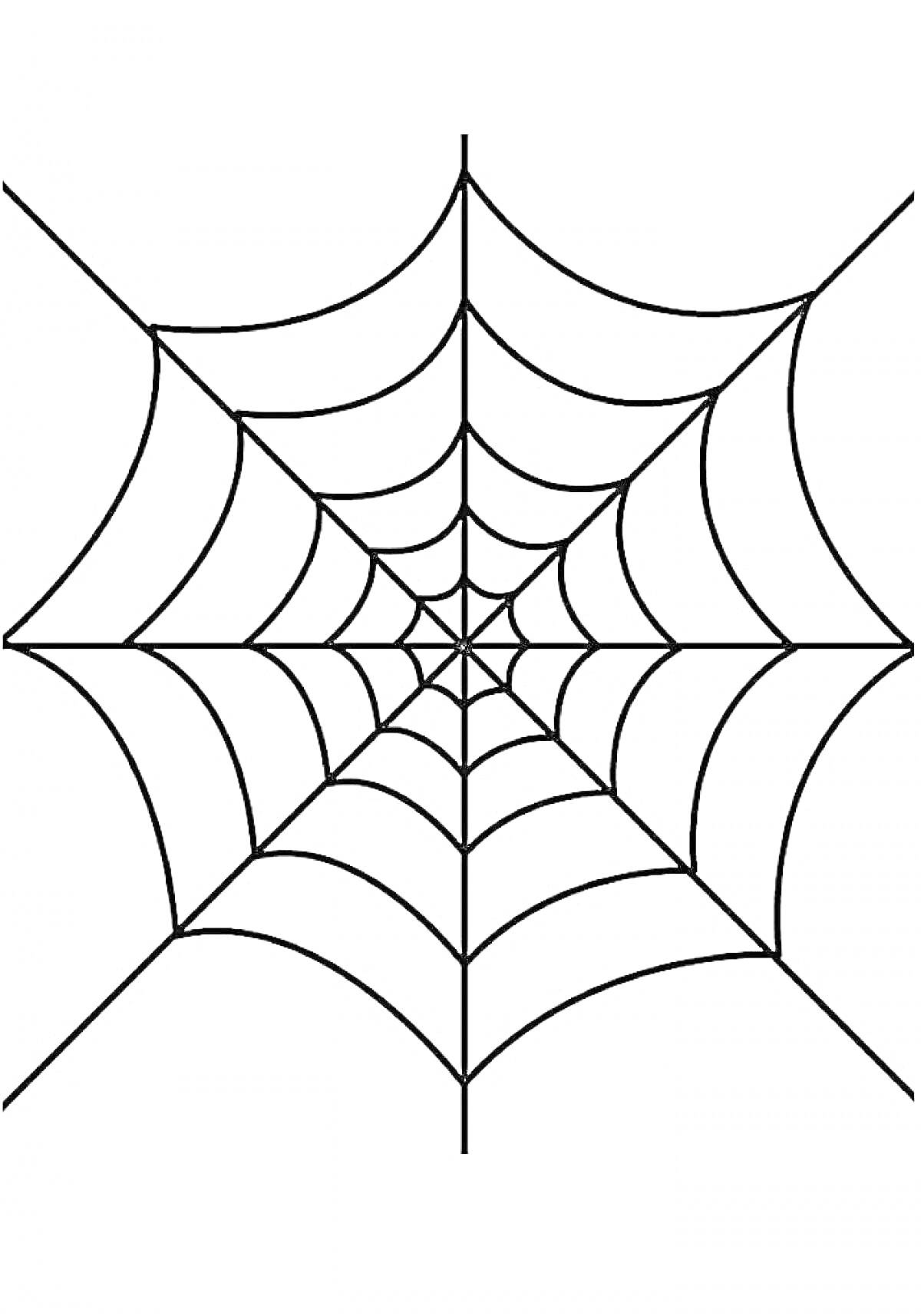 Раскраска Паутина, структурированная с концентрическими кругами и радиальными линиями