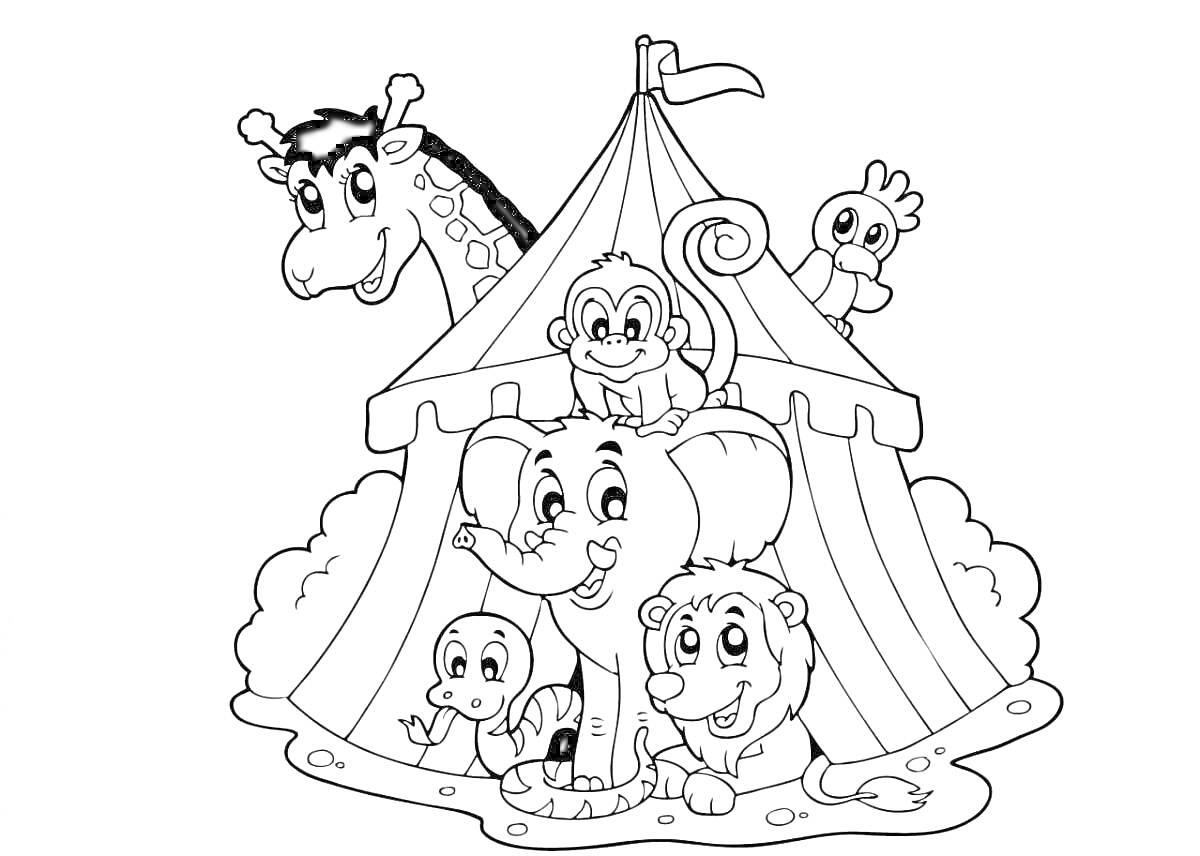 На раскраске изображено: Цирк, Слон, Шатер, Животные, Цирковой шатёр, Веселье