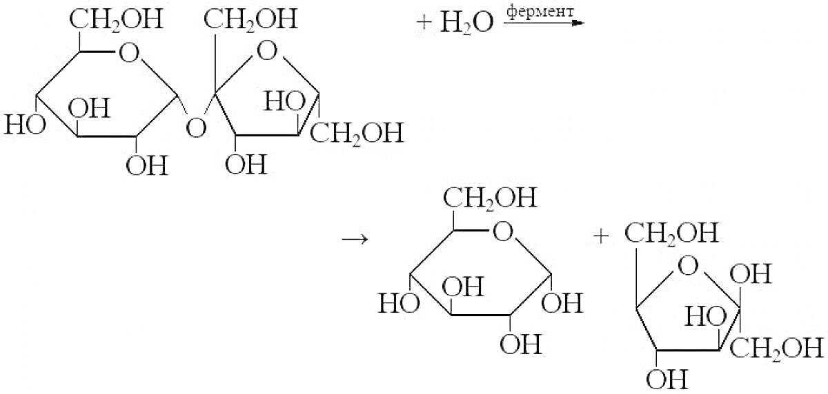 Раскраска Химическая структура сахарозы с процессом гидролиза