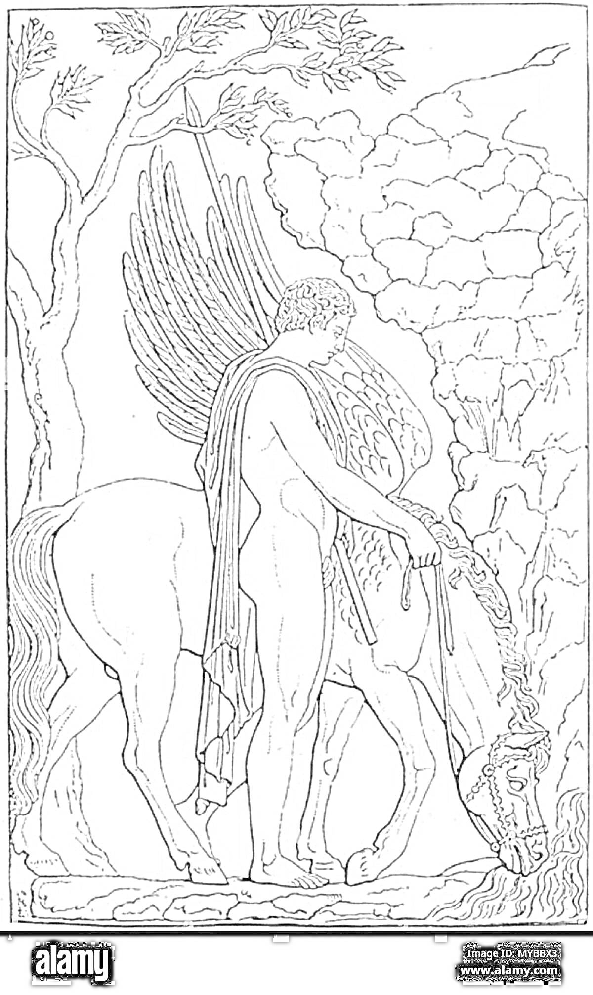На раскраске изображено: Древняя Греция, Пегас, Крылья, Человек, Лошадь, Природа, Деревья, Скалы, Мифические существа