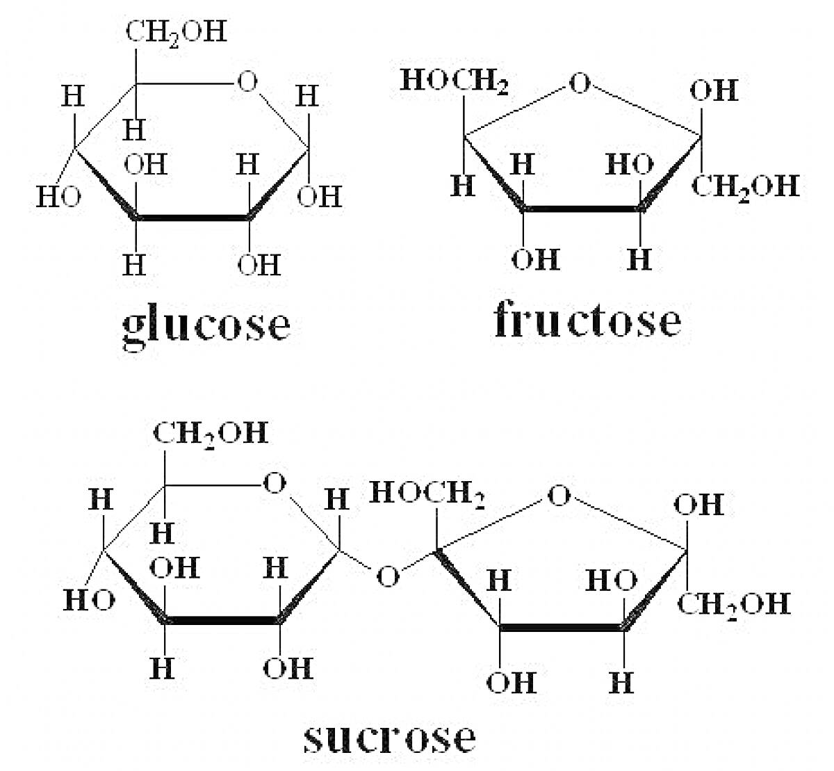 Раскраска Глюкоза, фруктоза и сахароза с химическими формулами