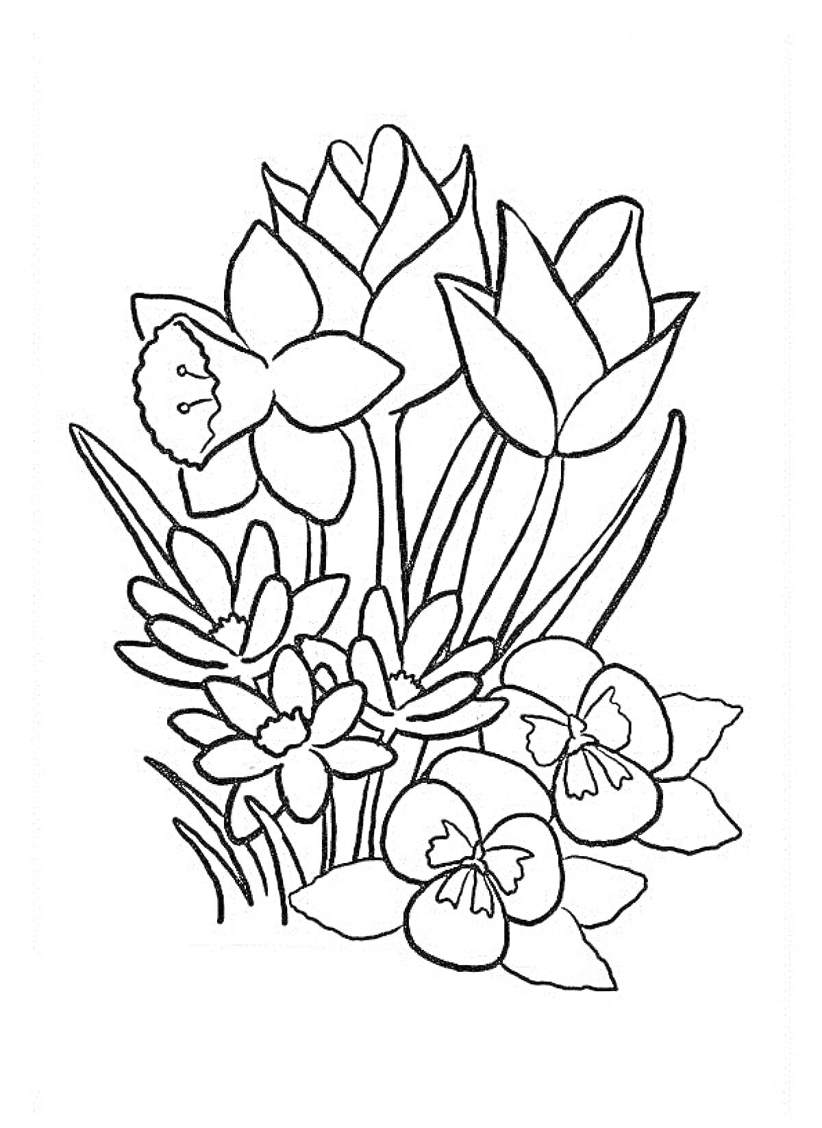 На раскраске изображено: Цветы, Нарциссы, Тюльпаны, Анютины глазки, Букет цветов