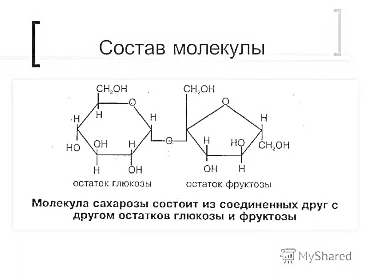 На раскраске изображено: Молекула, Сахароза, Химия, Состав, Схема