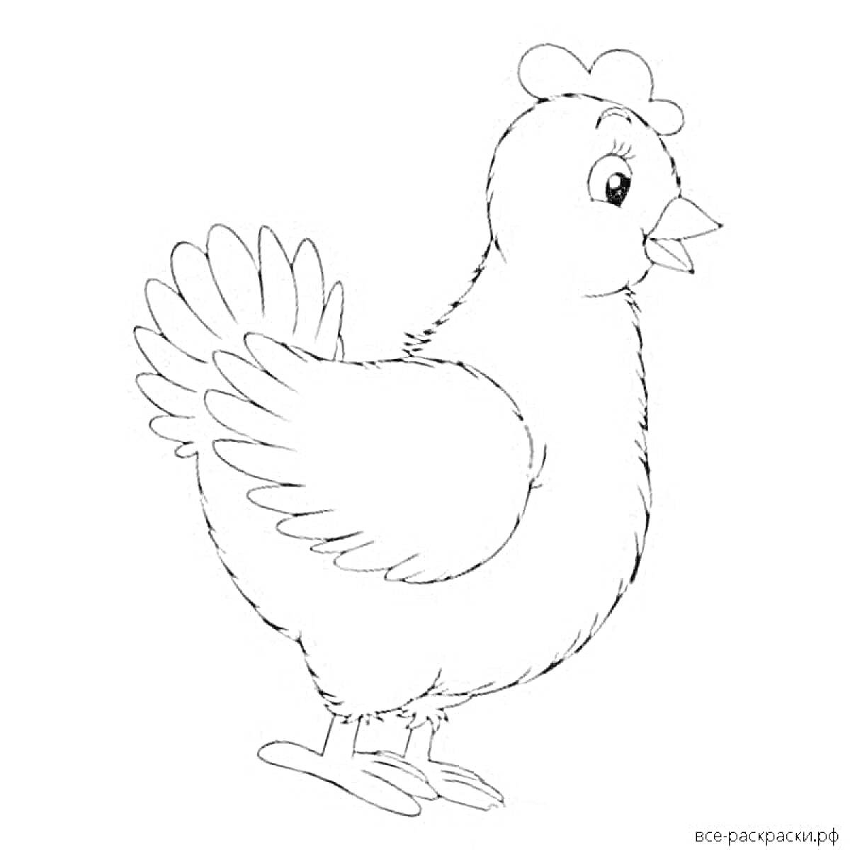 Раскраска Раскраска с курочкой