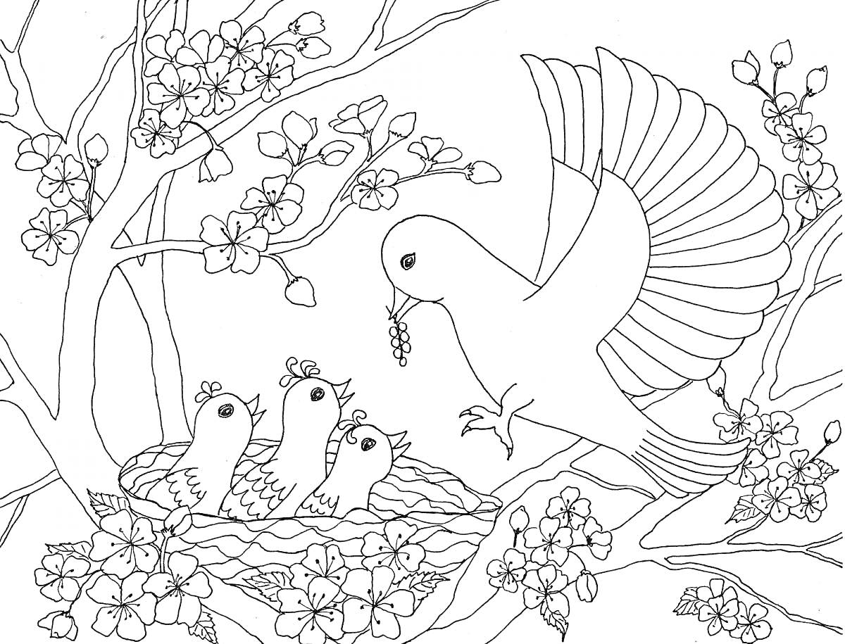 На раскраске изображено: Ветка, Гнездо, Цветы, Природа, Весна, Птенец, Корм, Птица