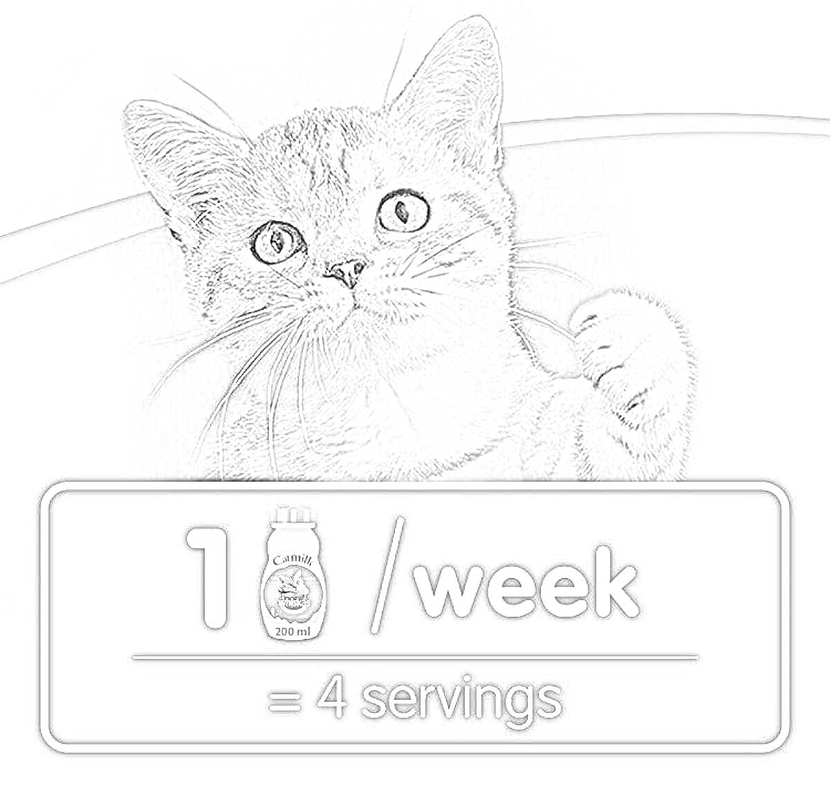 На раскраске изображено: Кот, Реклама, Домашние животные, Питание