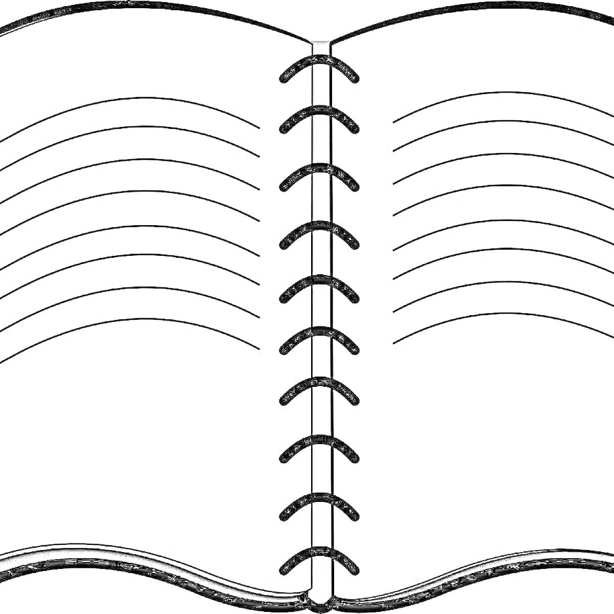 Раскраска Открытая тетрадь с кольцевым переплетом и линиями на страницах