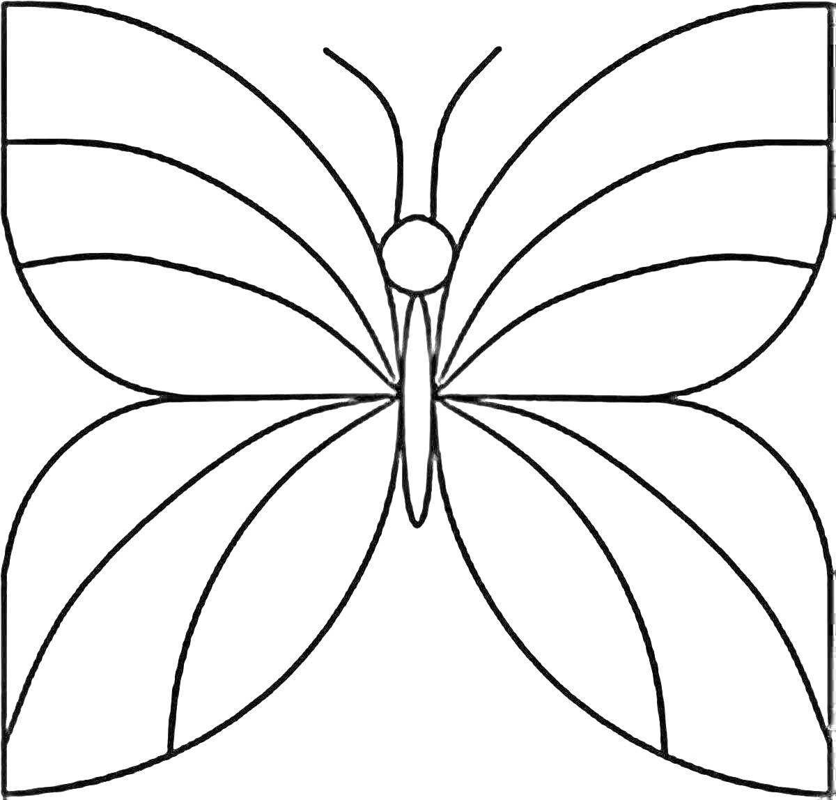 Раскраска Симметричная бабочка с узором на крыльях