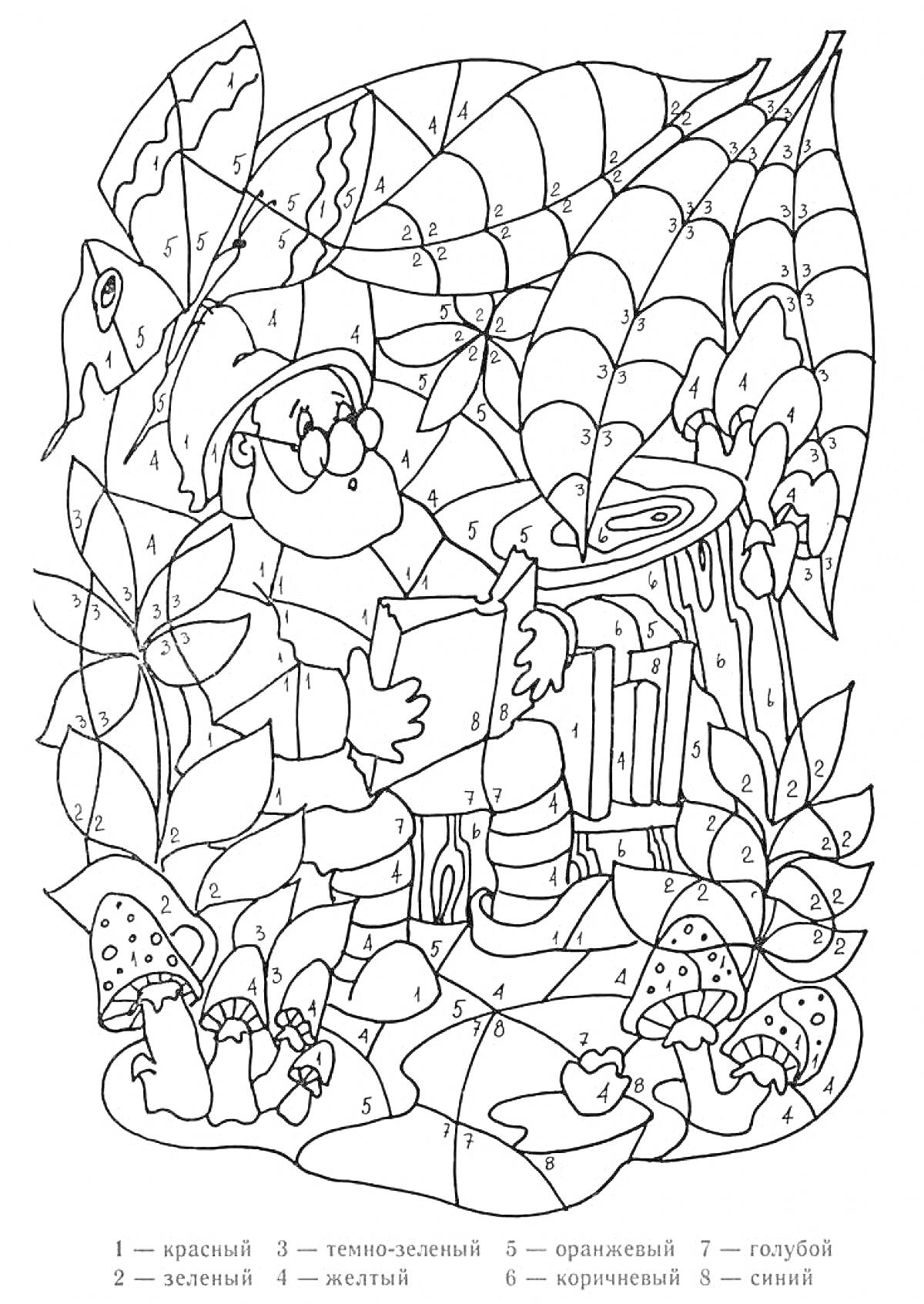 На раскраске изображено: Гном, Книга, Лес, Грибы, Листья, Паутина