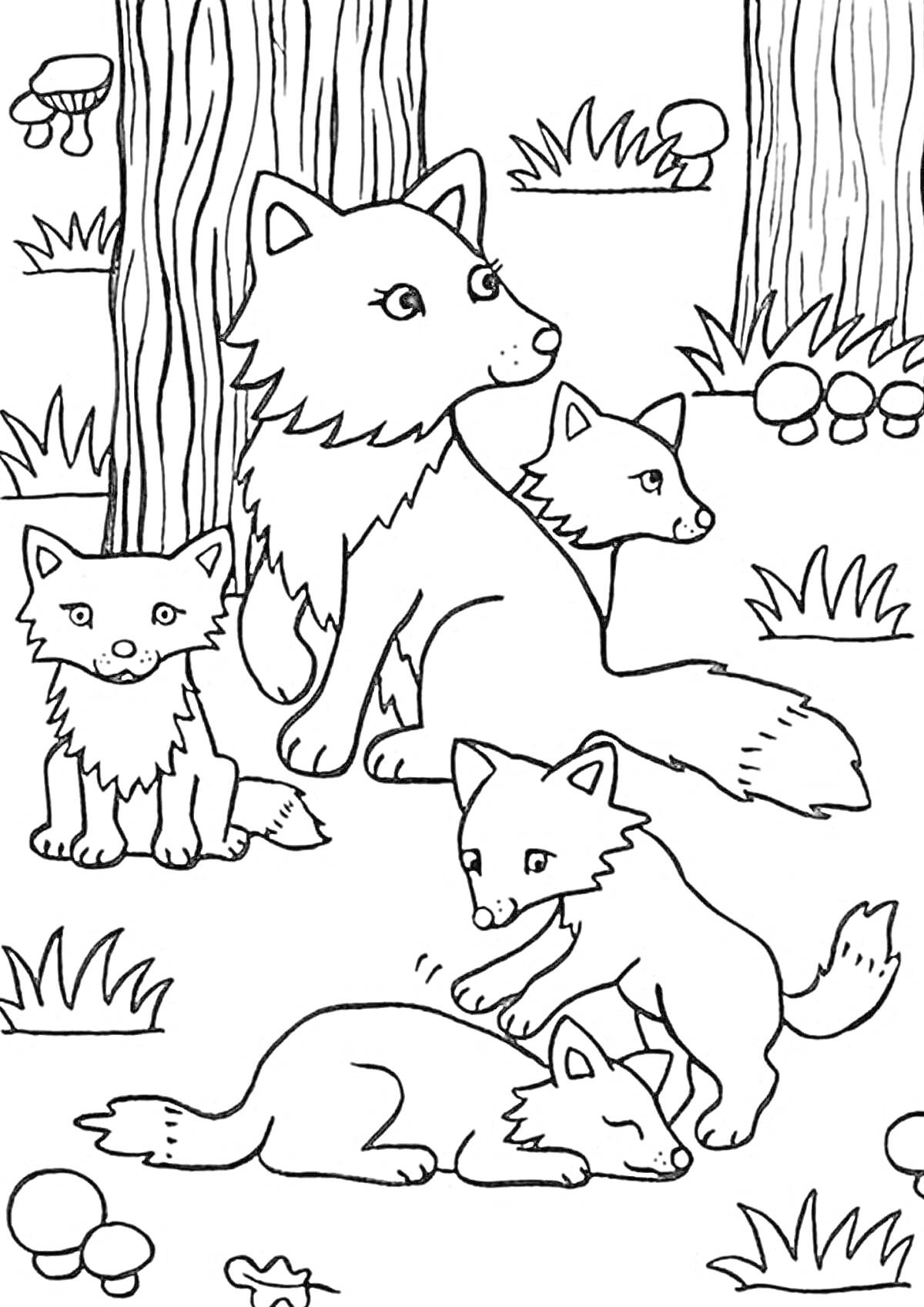 На раскраске изображено: Волчица, Волчата, Лес, Деревья, Трава, Грибы, Дикие животные, Природа, Детеныши