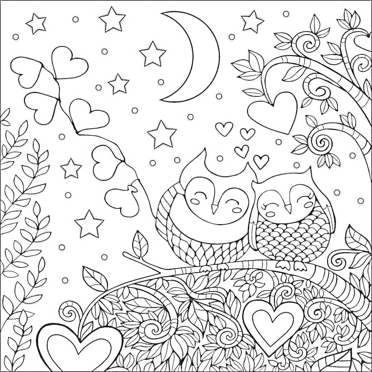 Раскраска две совы на ветке среди листьев и сердец под ночным небом с луной и звёздами