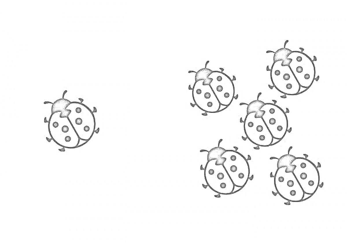 Раскраска Одна божья коровка и много божьих коровок