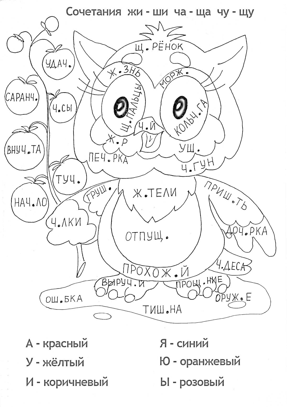 На раскраске изображено: Русский язык, 4 класс, Сова, Жи-ши, Ча-ща, Чу-щу, Учебное пособие