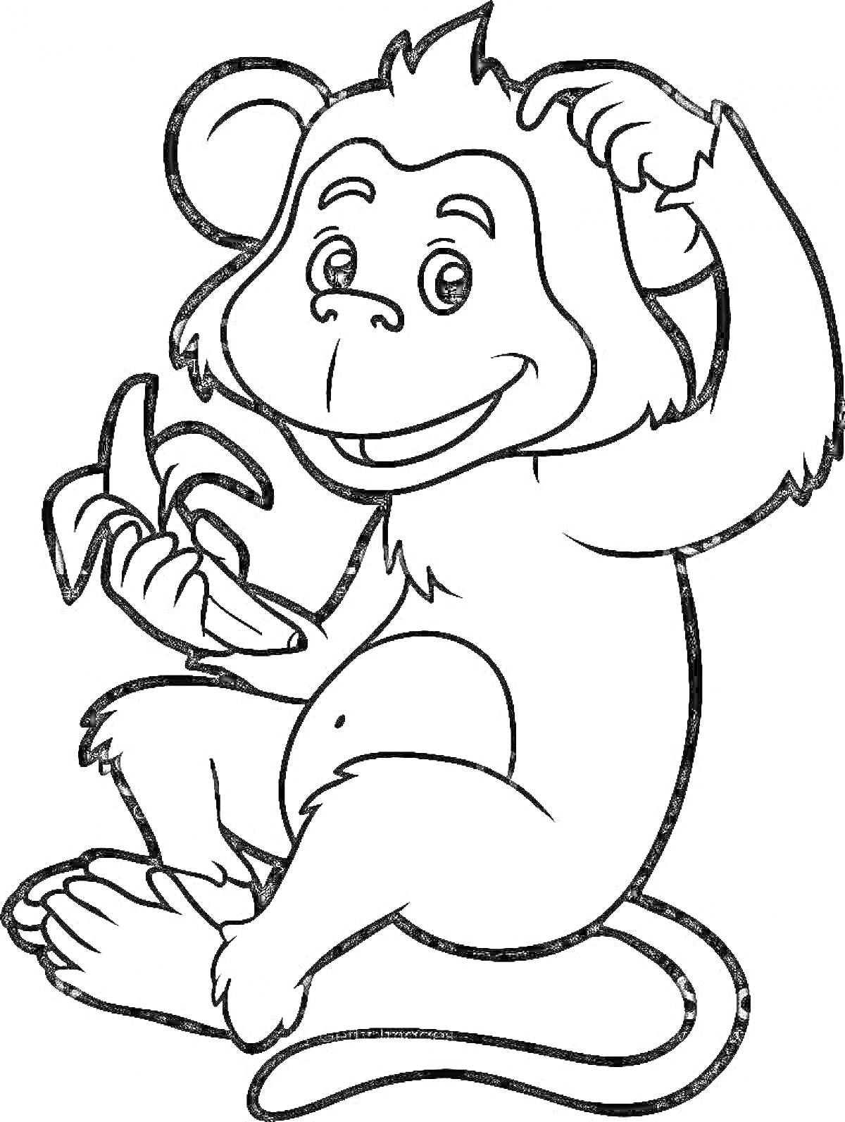 Раскраска Обезьянка с бананом, сидящая и чешающая голову