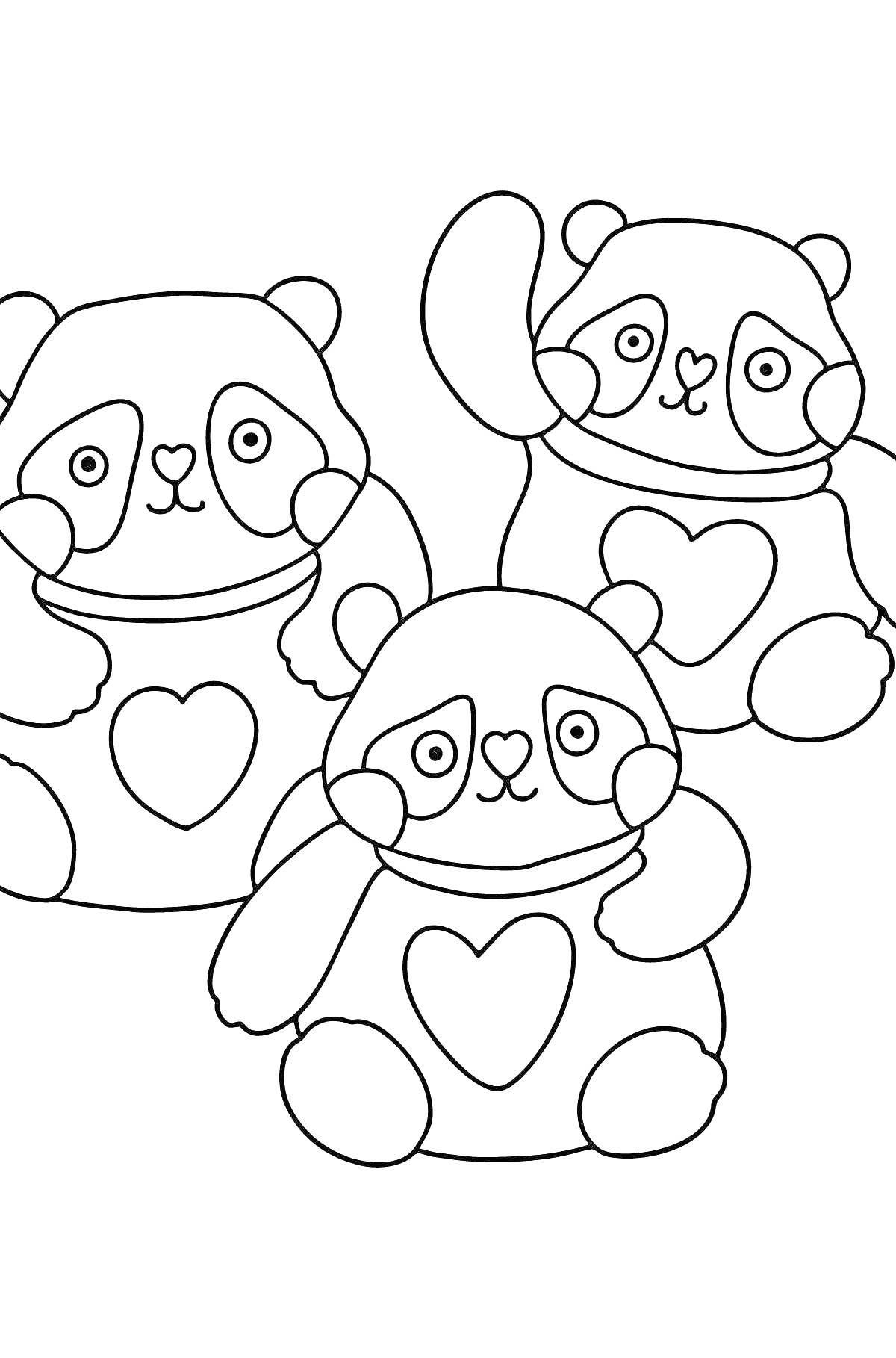 На раскраске изображено: Панды, Животные