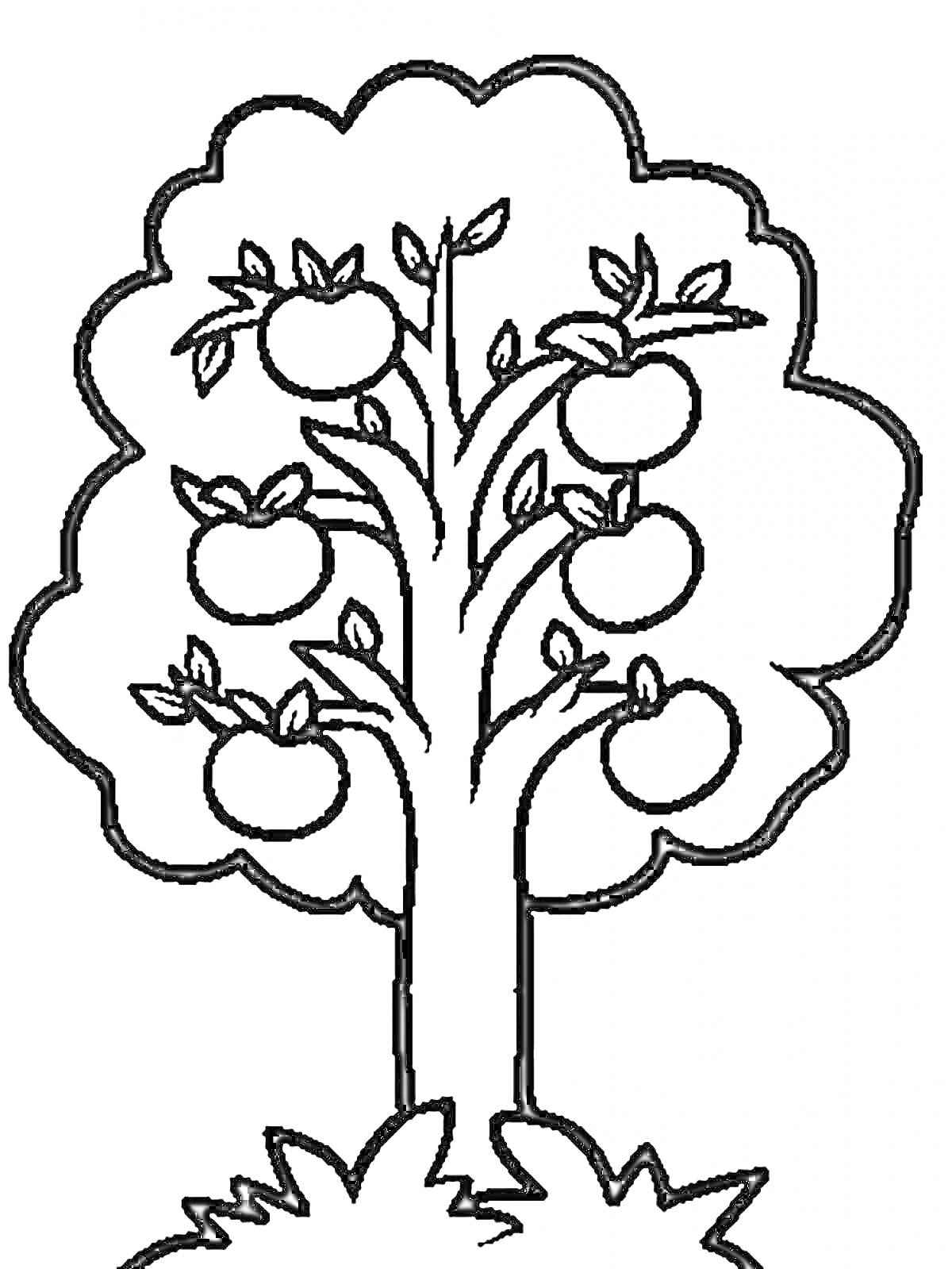 Раскраска Яблоня с яблоками и листьями на фоне куста