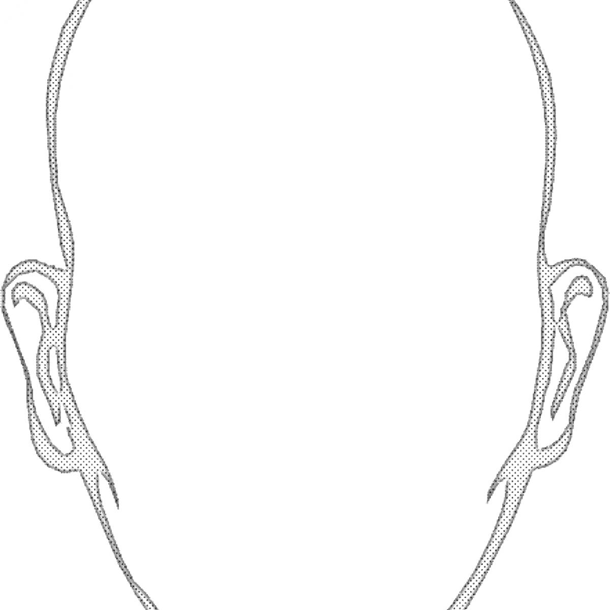 На раскраске изображено: Голова, Уши, Контур
