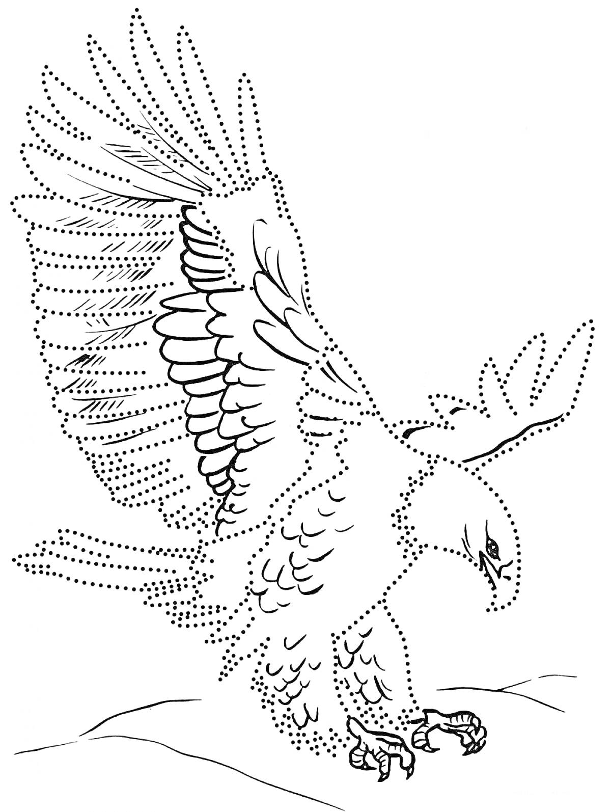 На раскраске изображено: Орел, Хищная птица, Расправленные крылья, Природа, Перья, Когти, Птица, Контурные рисунки, Скалы
