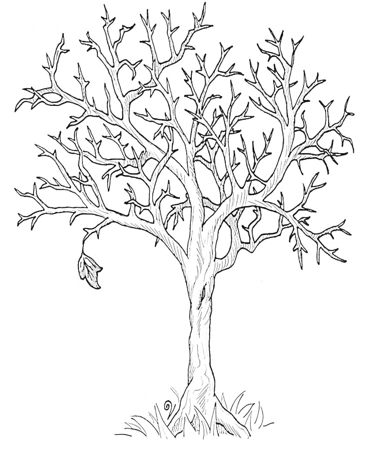 Раскраска Дерево без листьев с травой внизу и несколькими оставшимися листьями