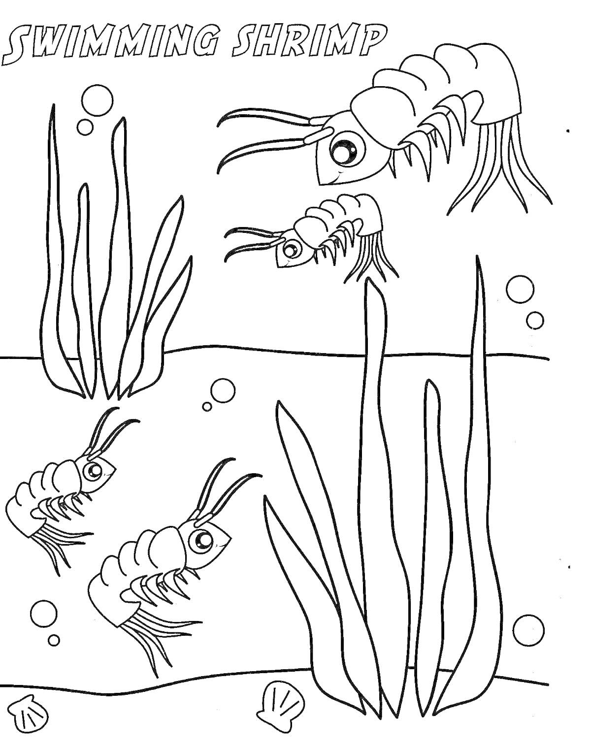 На раскраске изображено: Креветка, Водоросли, Пузыри, Подводный мир, Морские животные, Ракообразные, Творчество
