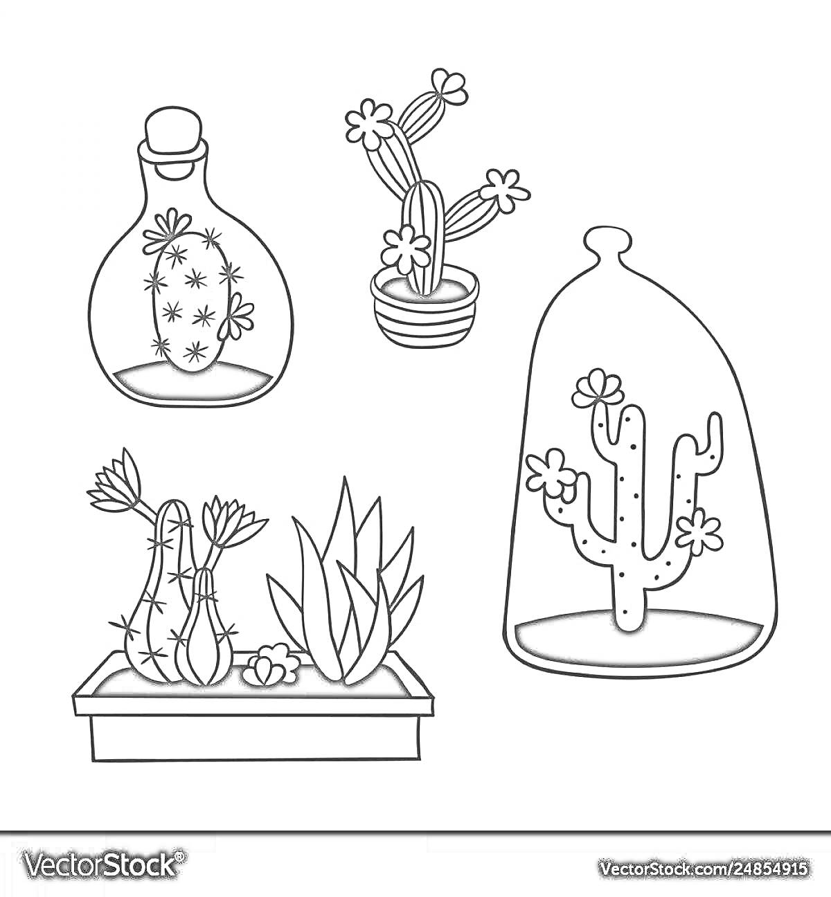 На раскраске изображено: Террариум, Кактусы, Суккуленты, Растения, Ботаника, Контурные рисунки, Цветок в горшке