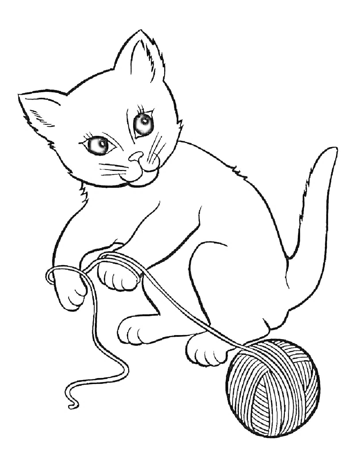 Раскраска котенок играет с клубком ниток