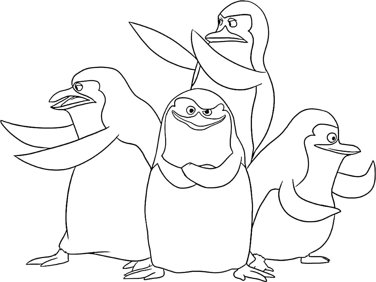 На раскраске изображено: Пингвины, Друзья, Команда, Белый фон, Для детей, Животные, Из мультфильмов
