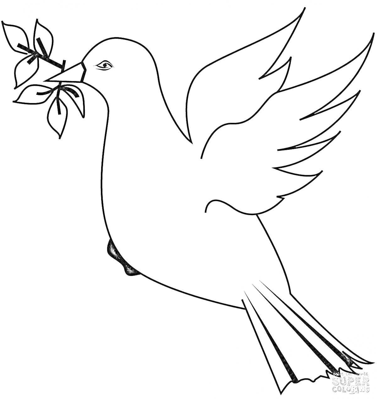 На раскраске изображено: Ветка, Птица, Мир, Графика, Голуби, Контурные рисунки, Летающая