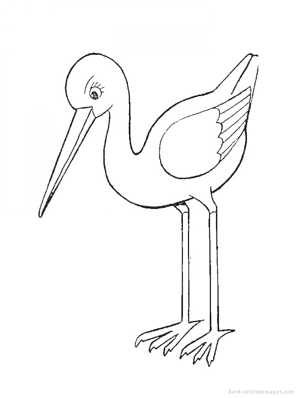На раскраске изображено: Аист, Птица, Длинные ноги, Длинный клюв, Крылья