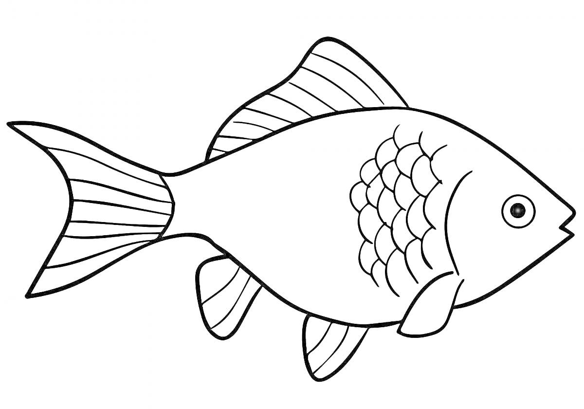 Раскраска Рыбка с плавниками и чешуйками для раскрашивания