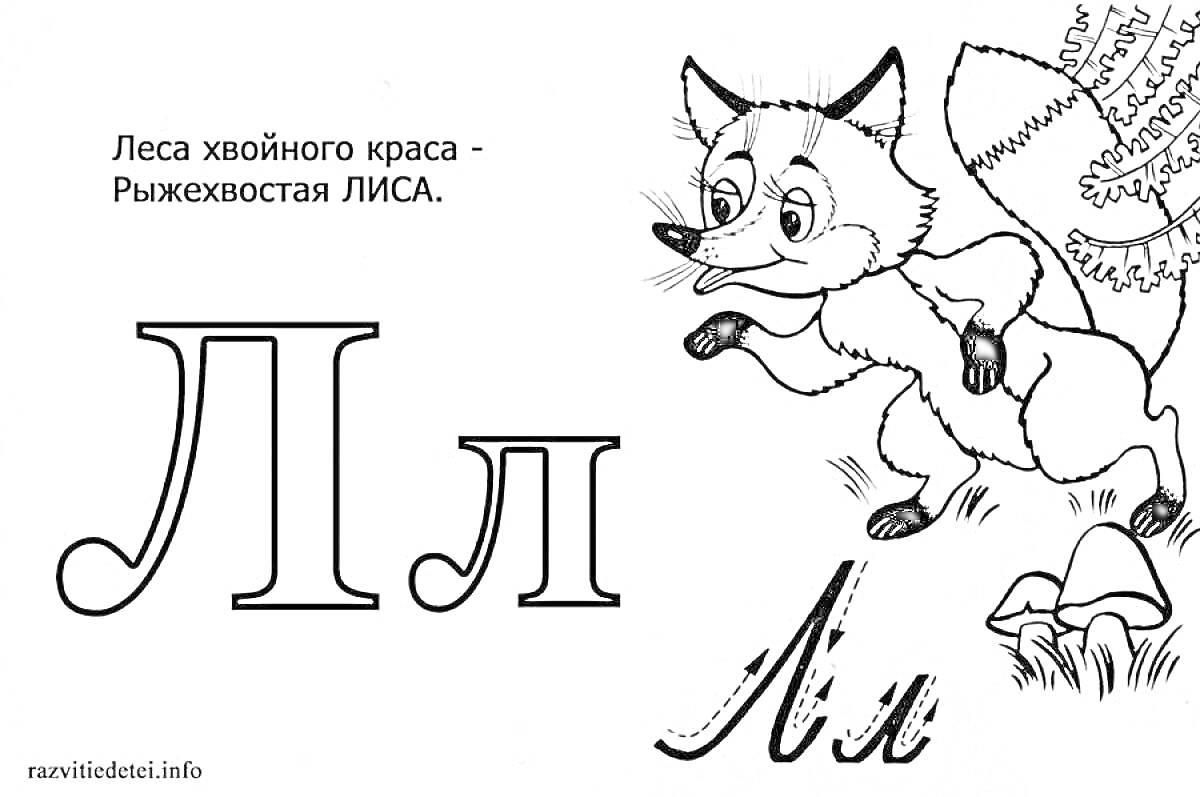 На раскраске изображено: Буквы, Лиса, Грибы, Лес, Хвойный лес, Для детей