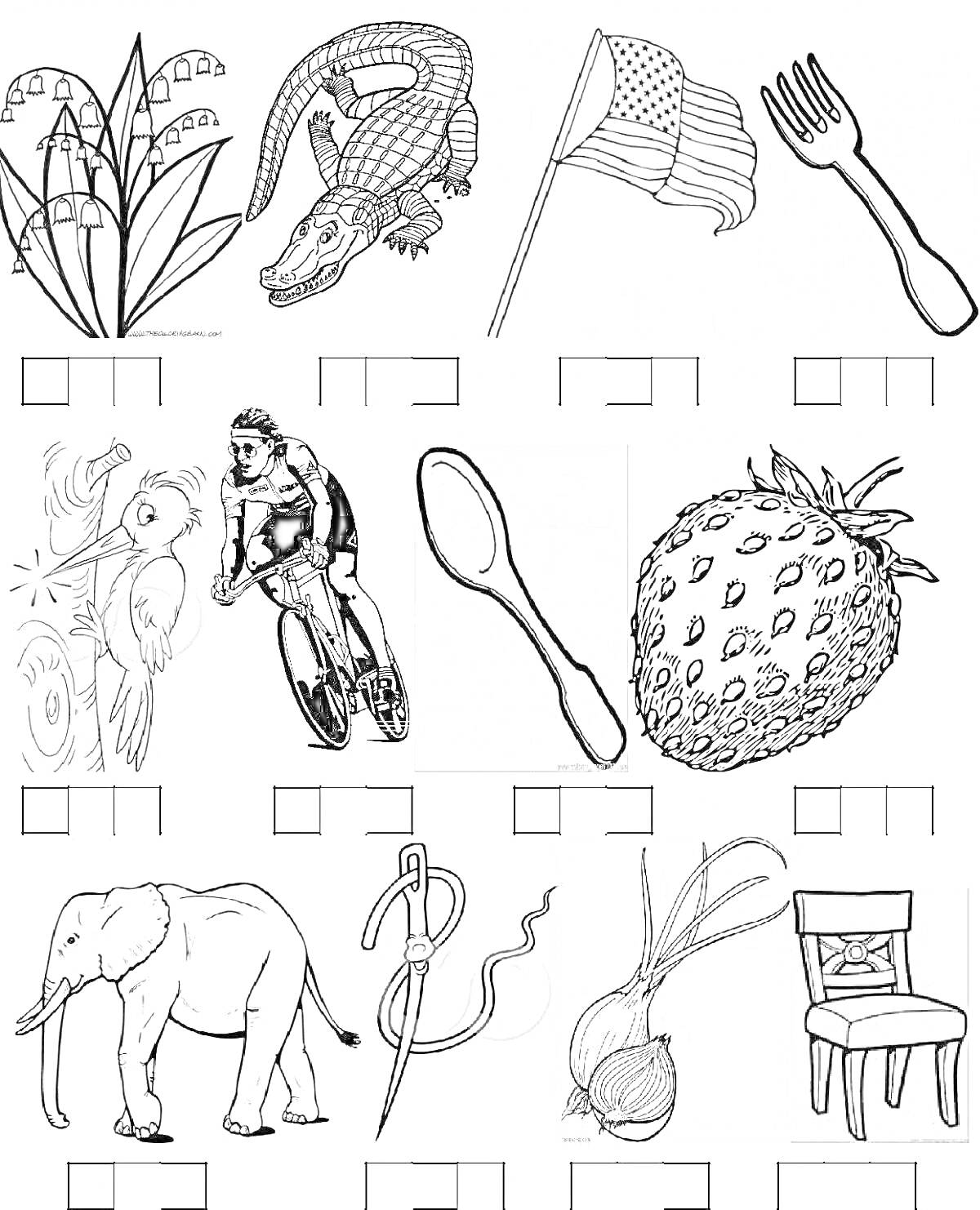Раскраска Ландыши, крокодил, флаг, вилка, попугай, велосипедист, ложка, клубника, слон, иголка, лук, стул