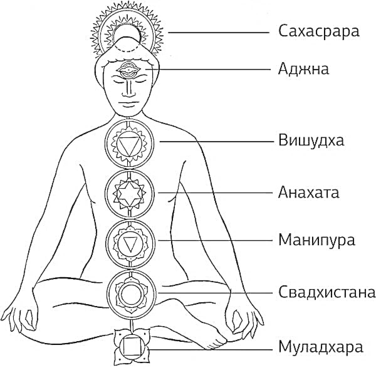 Изображение человека в позе медитации с обозначениями семи чакр: Сахасрара, Аджна, Вишудха, Анахата, Манипура, Свадхистана, Муладхара.