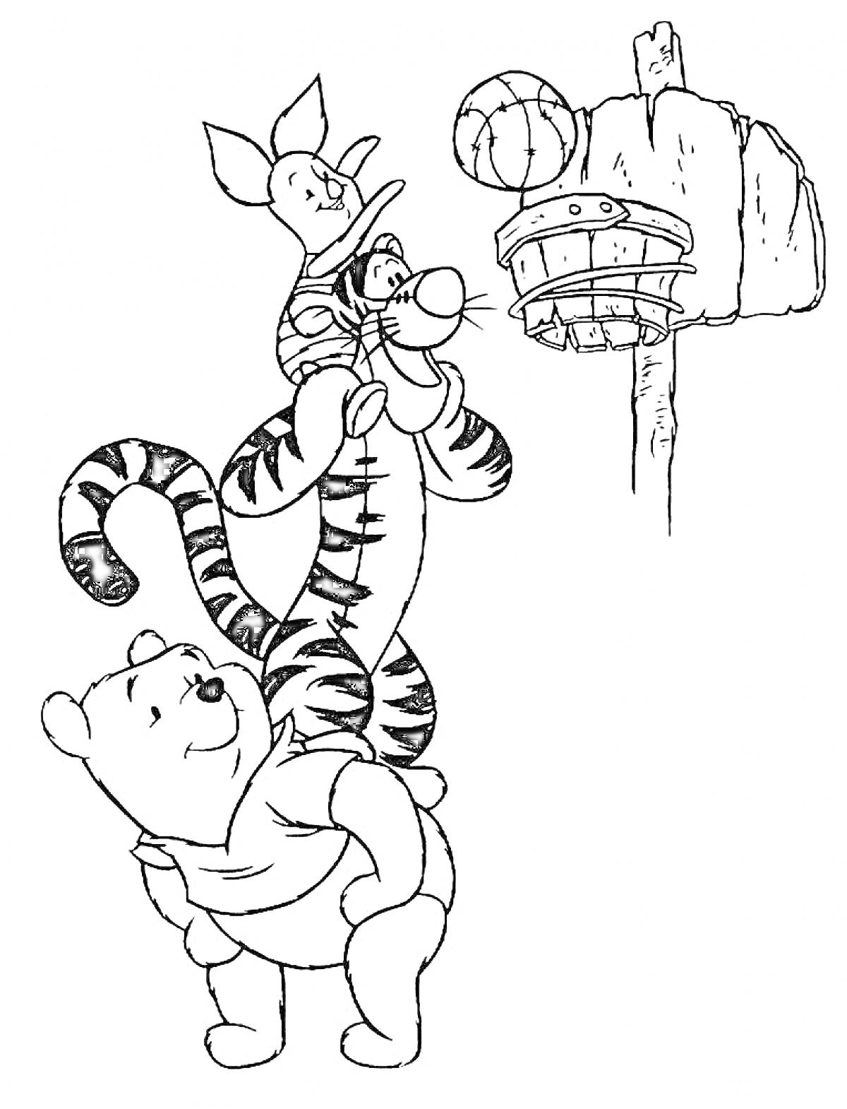Раскраска Медвежонок, тигр и поросёнок играют в баскетбол, мяч летит в кольцо, установленное на столбе