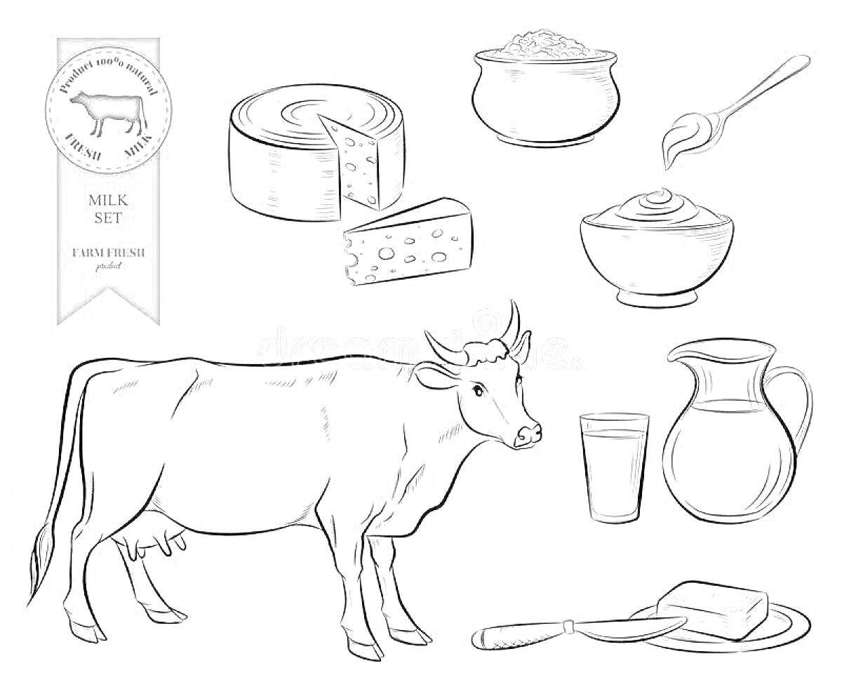 Раскраска Корова, сыр, кусок сыра, творог в миске, ложка с творогом, сметана в миске, кувшин с молоком, стакан молока, упаковка масла с ножом